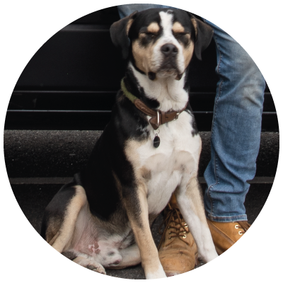 Ragnar, notre mascotte pour GB - Menuiserie et Domotique intervenant en Essonne et en Ile-de-France