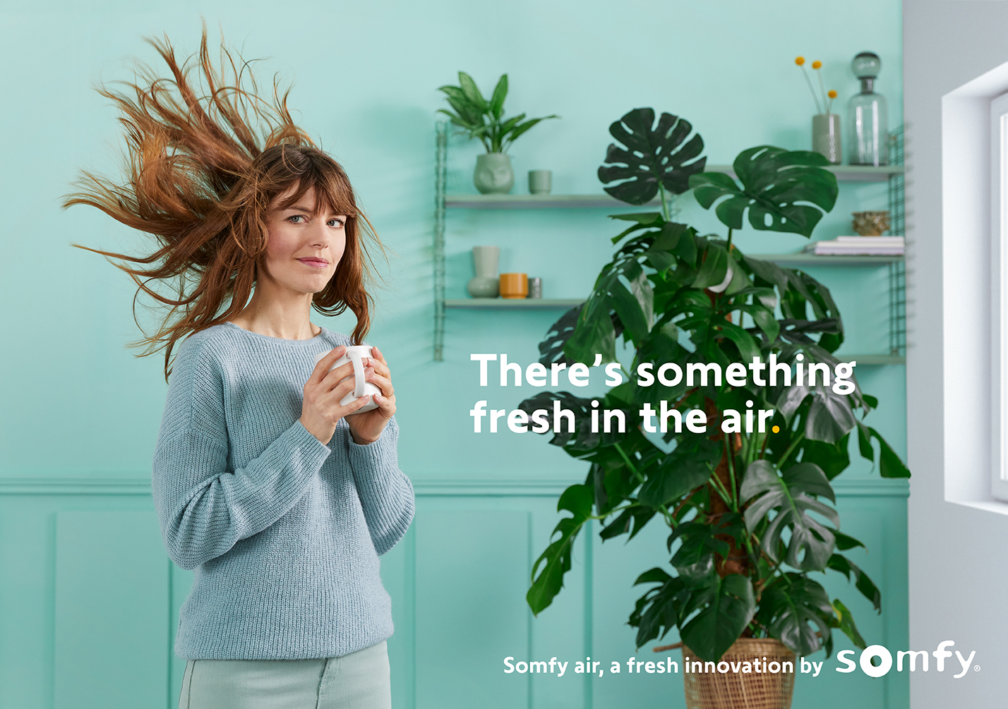 Somfy - Solutions pour fenêtres connectées